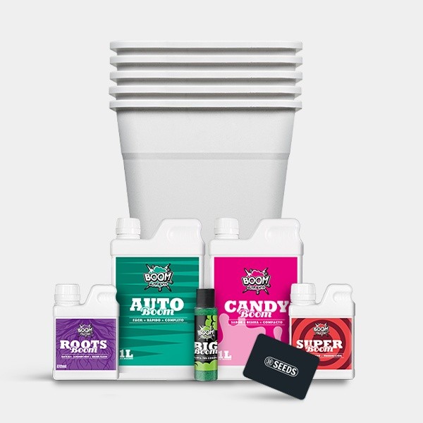 Kit completo autofiorenti