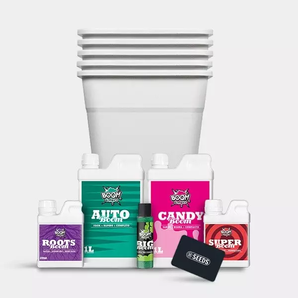 Kit completo autofiorenti