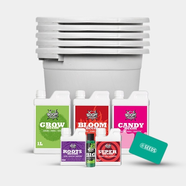 Kit completo femminizzato 5 vasi da 27 L