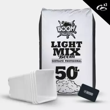Kit Outdoor per autofiorenti economico GB