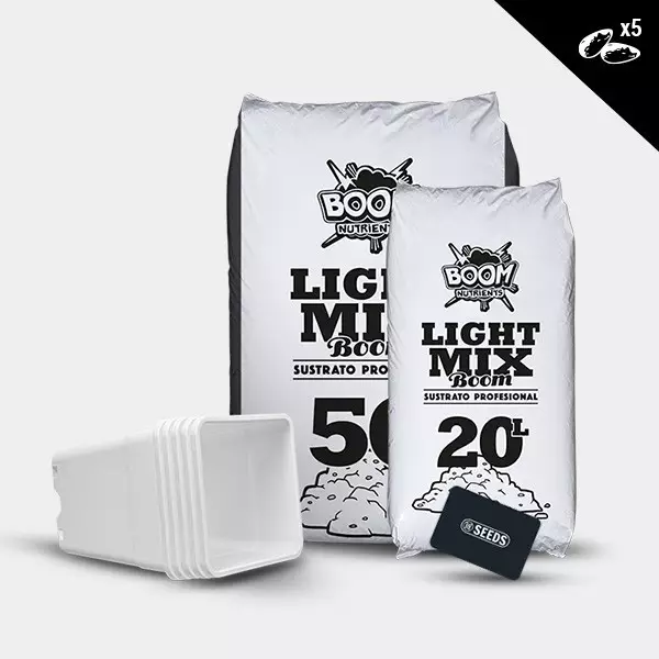 Kit outdoor autofiorenti