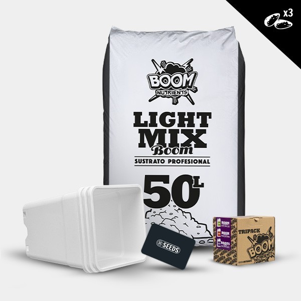 Kit outdoor autofiorenti