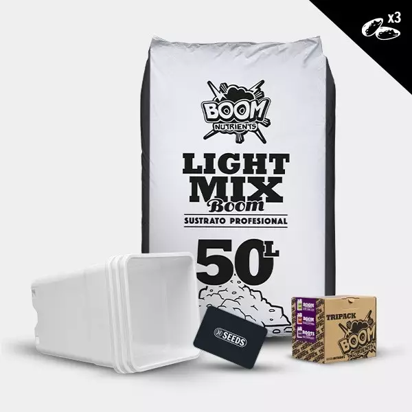 Kit outdoor autofiorenti