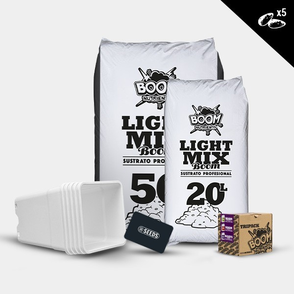 Kit outdoor autofiorenti