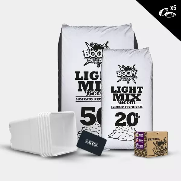 Kit outdoor autofiorenti