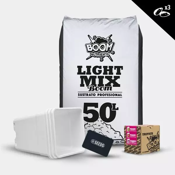 Kit outdoor autofiorenti