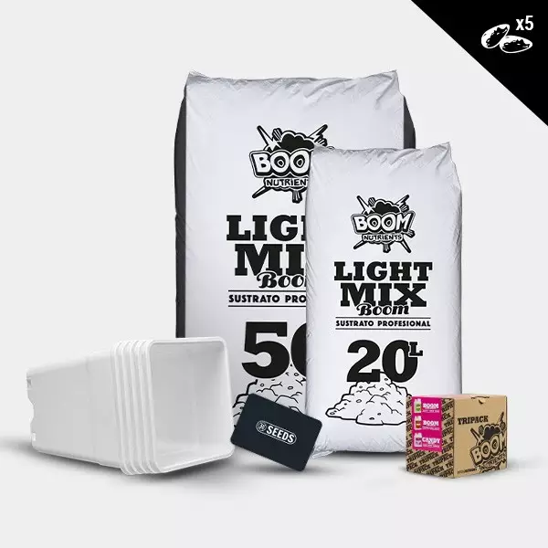Kit outdoor autofiorenti