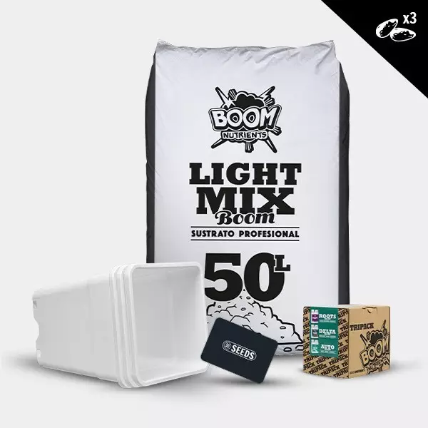 Kit outdoor autofiorenti