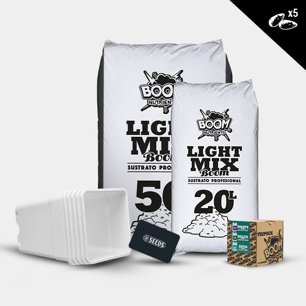 Kit outdoor autofiorenti