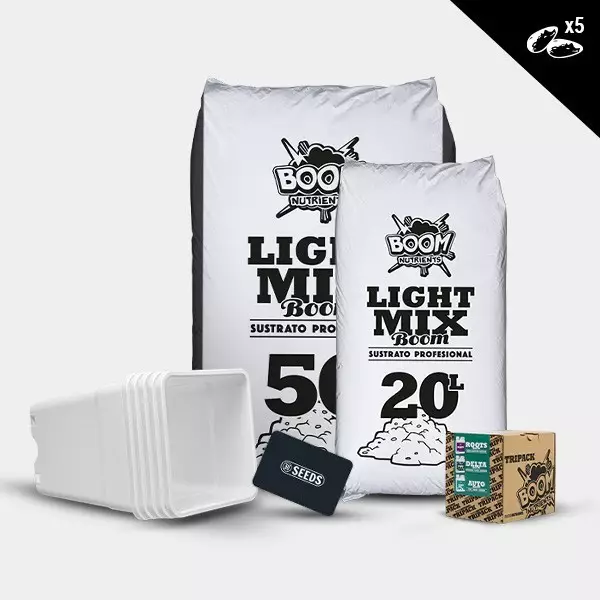 Kit outdoor autofiorenti