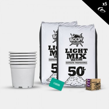 Kit outdoor femminizzate