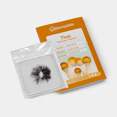 Stampa di Spore Thai detaglio