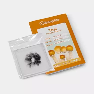 Stampa di Spore Thai detaglio