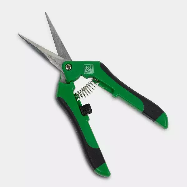 Forbici per manicure a punta curva -