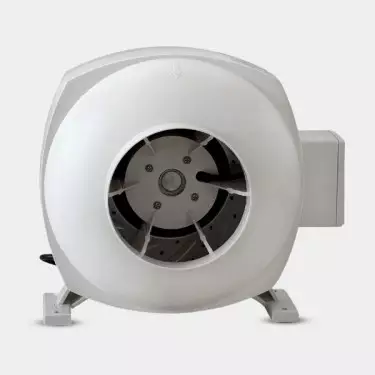 Estrattore Vanguard Centro