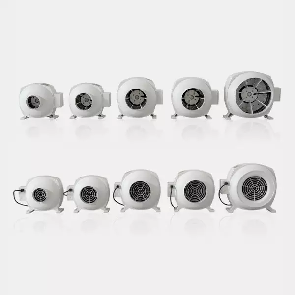 Estrattore Vanguard Centro tutte le opzioni