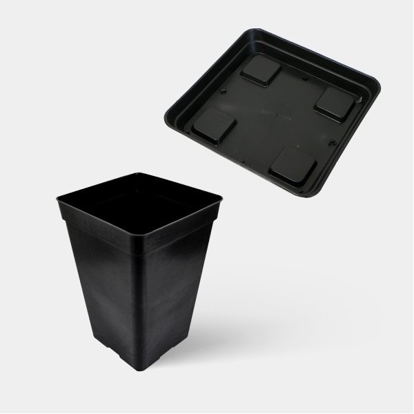 Kit Completo Base 60x60 - GB The Green Brand