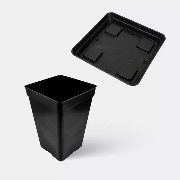 Kit Completo Base 60x60 - GB The Green Brand