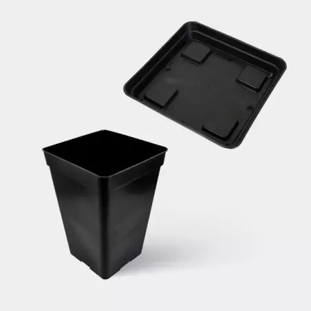 Kit Completo Base 60x60 - GB The Green Brand