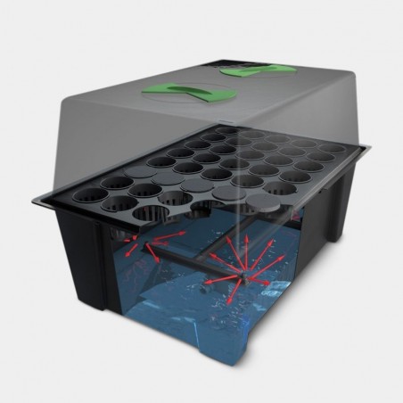 X-Stream di Nutriculture propagatore talee - The Green Brand