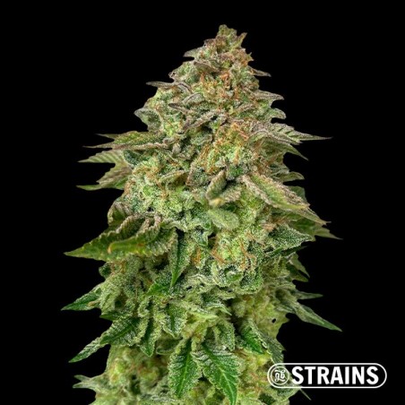 Strawberry Cake Ultra Fast