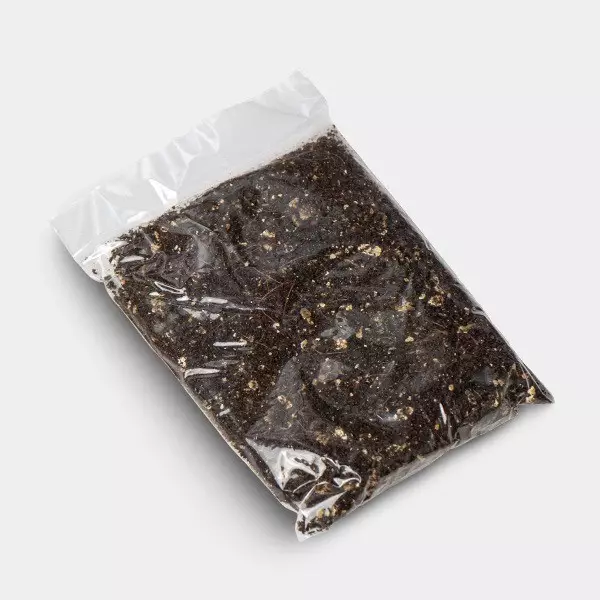 Kit di funghi Bluey Vuitton substrato