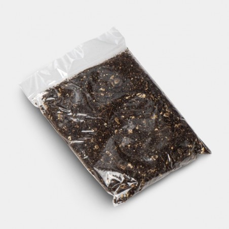 Kit di Coltivazione Funghi Jack Frost + substrato aggiunto
