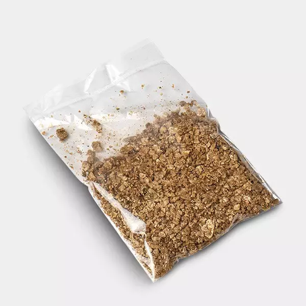 Mazapatec Kit Coltivazione Funghi Mazatapec | Economico e di qualità 👌