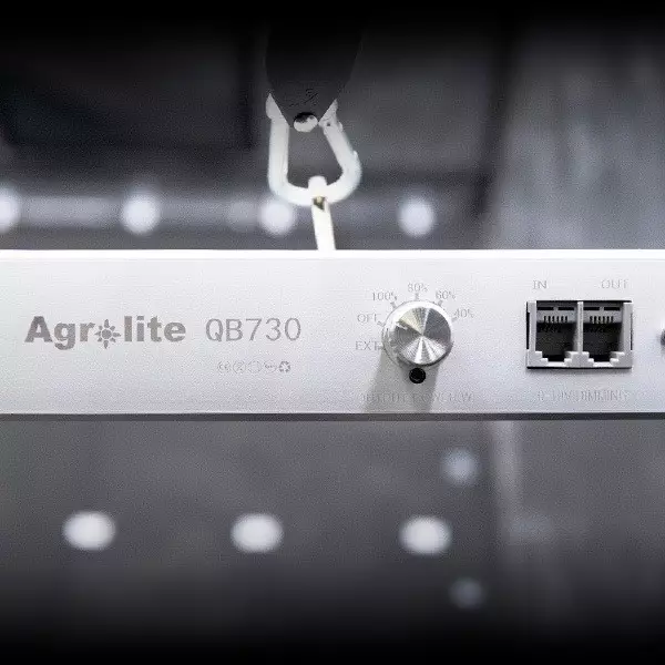 Sistema LED Agrolite QB 750W - GB The Green Brand