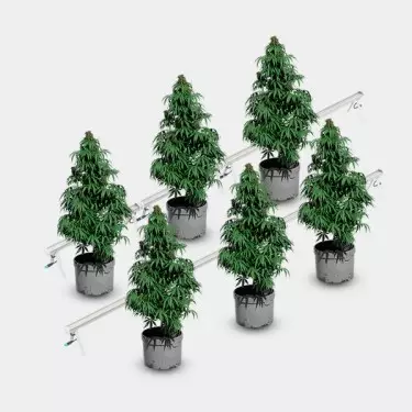 Under Canopy LED 120W Solux piante