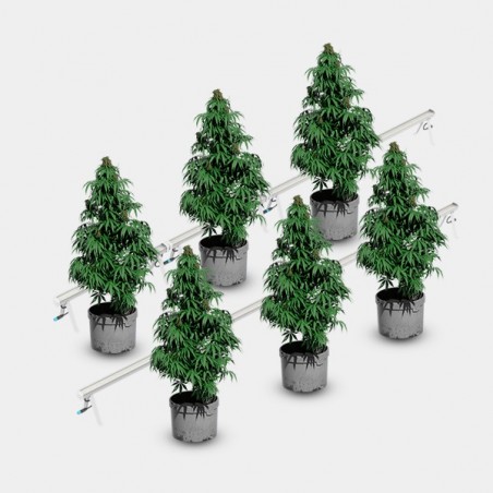 Under Canopy LED 120W Solux piante