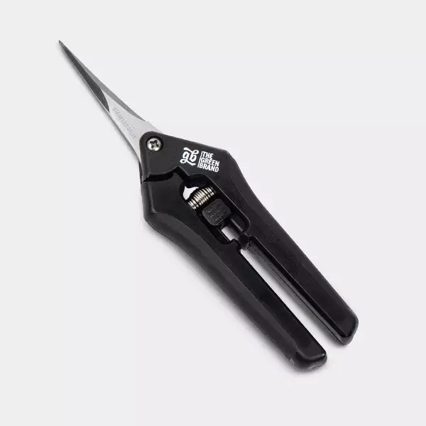 Forbici a Punta Curva GB - GB The Green Brand