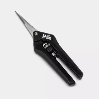 Forbici a Punta Dritta GB - GB The Green Brand