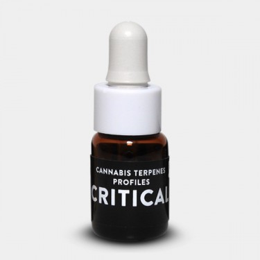 Terpeni Critical