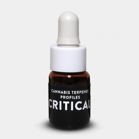 Terpeni Critical