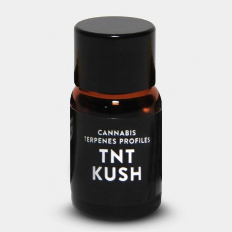Terpeni TNT Kush