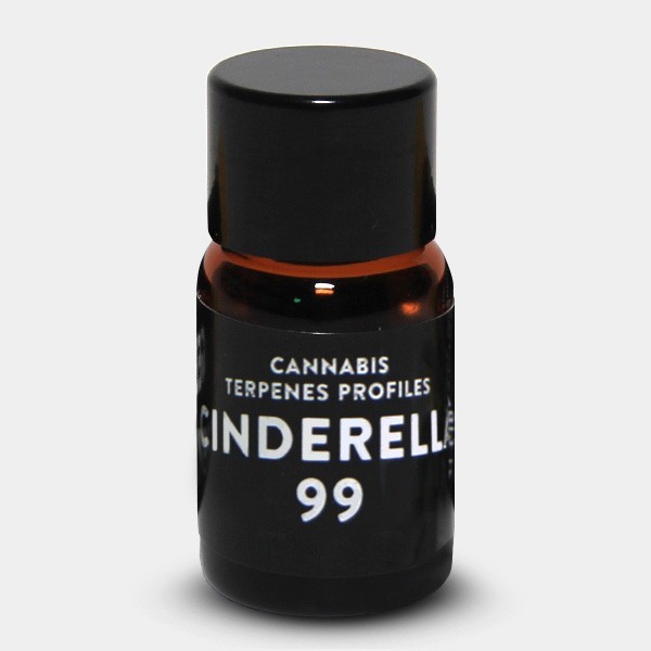Terpeni Cinderella 99