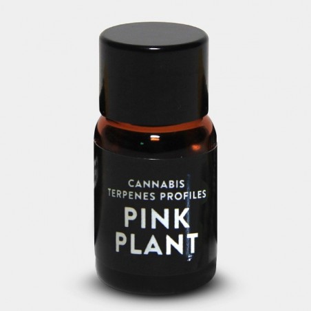 Terpeni Pink Plant
