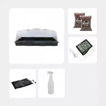 Kit per l'Autocoltivazione di Funghi Magici - GB The Green Brand