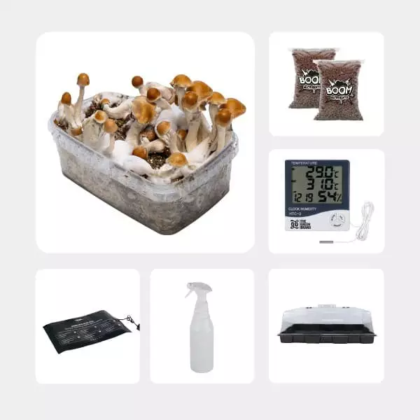 Kit per l'Autocoltivazione di Funghi Magici