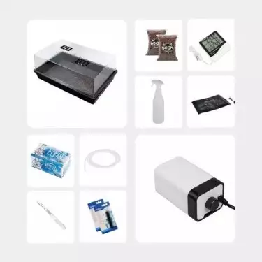 Kit Completo per Studi Micologici - GB The Green Brand