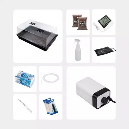 Kit Completo per Studi Micologici - GB The Green Brand