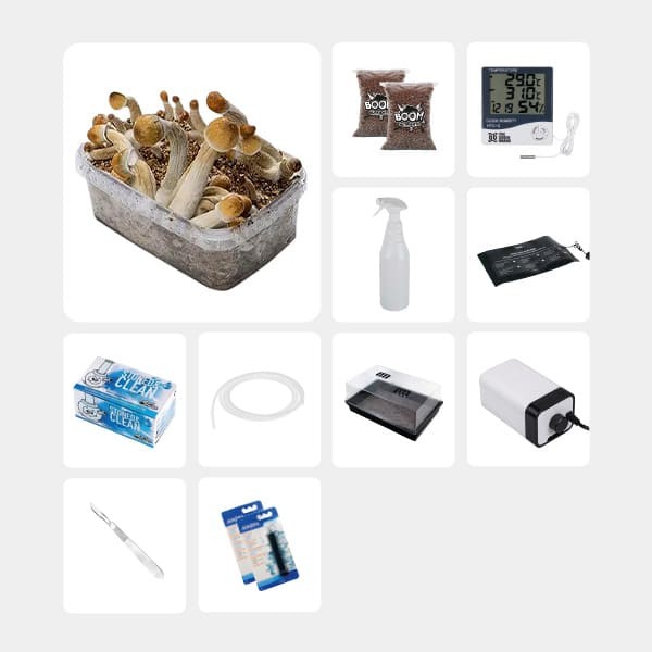 Kit Completo per Studi Micologici