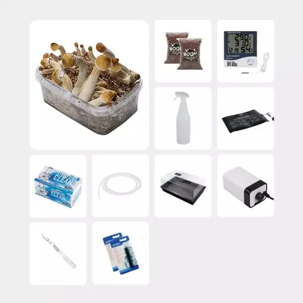 Kit Completo per Studi Micologici