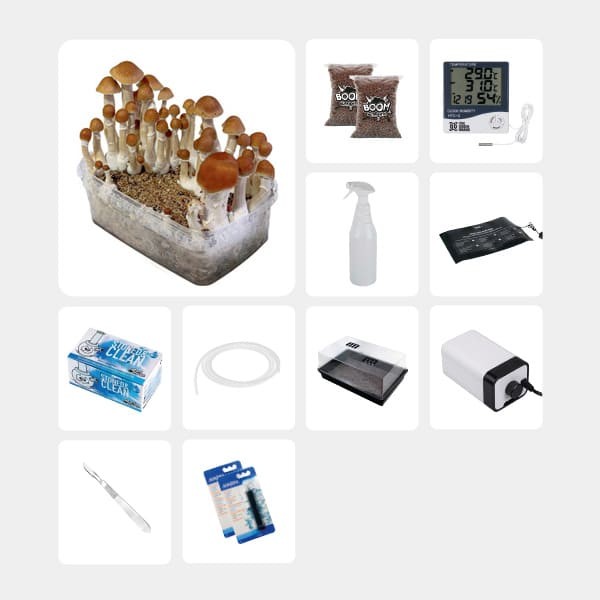 Kit Completo per Studi Micologici