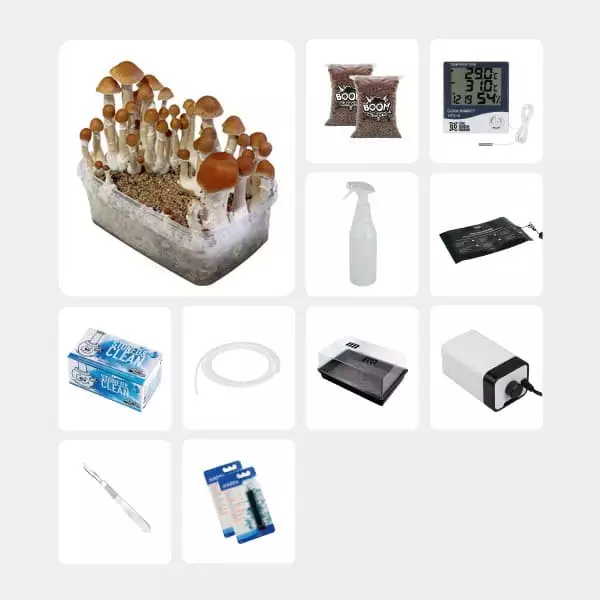 Kit Completo per Studi Micologici