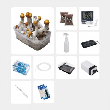 Kit Completo per Studi Micologici