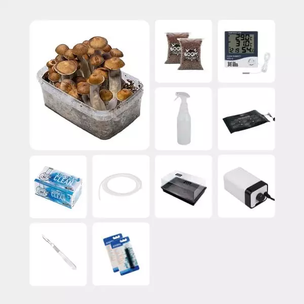 Kit Completo per Studi Micologici