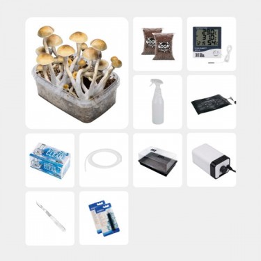 Kit Completo per Studi Micologici