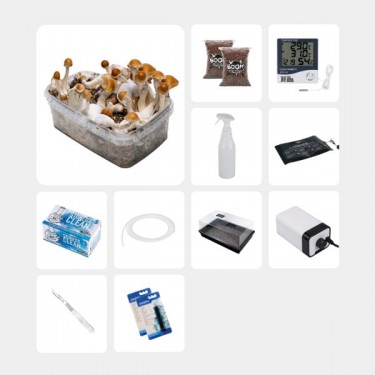 Kit Completo per Studi Micologici